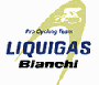 http://www.teamliquigasbianchi.com